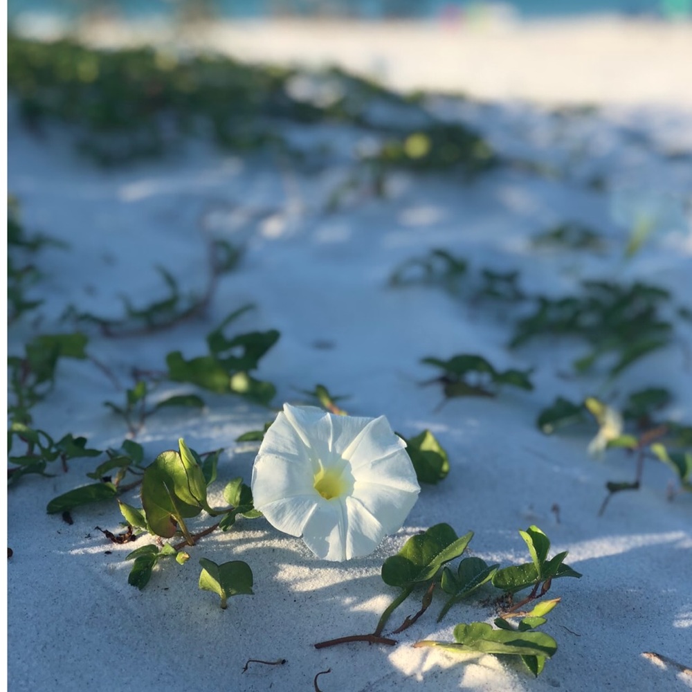 On Vacation!! Connecting with Nature! - Picture 2 of 4
